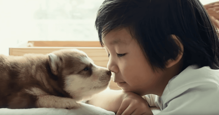 \"Dogalize-se\": Conheça a nova campanha institucional da Special Dog
