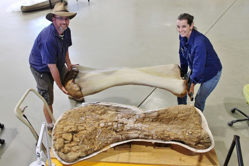 Nova espécie de dinossauro descoberta na Austrália