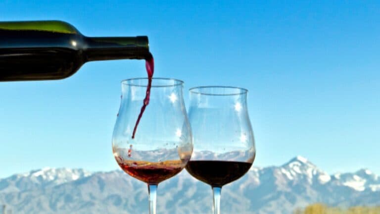 Rota do vinho percorre a Argentina e oferece degustações