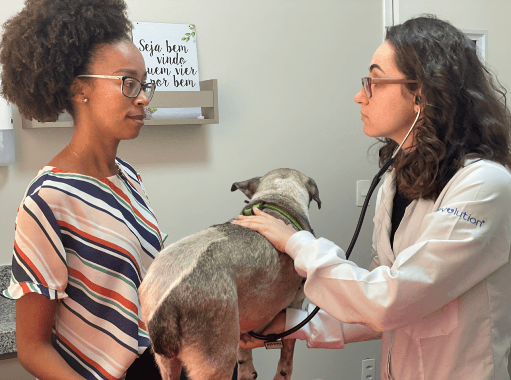 \"Licença PETernidade\": uma boa ideia para tutores e seus novos animais