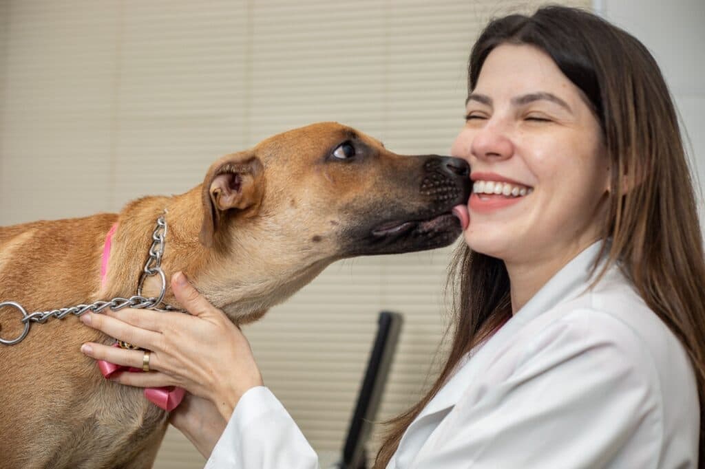 Amor incondicional e espontâneo dos pets conquista qualquer tutor