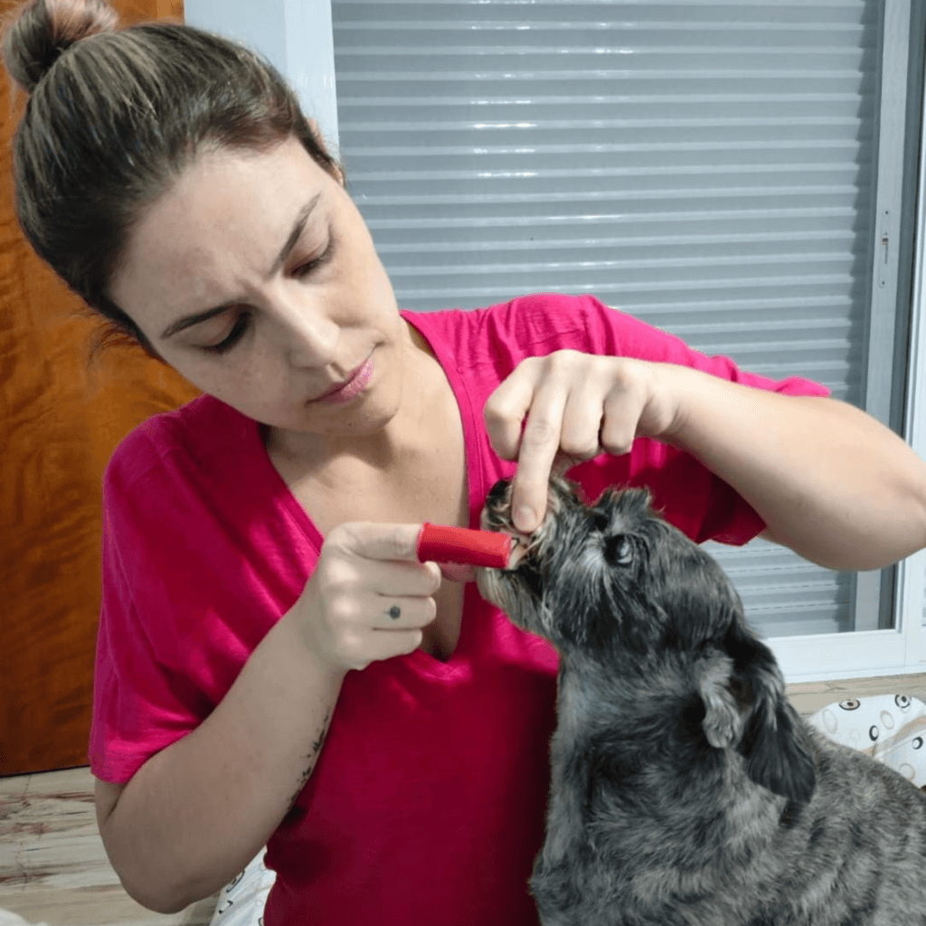 Escovar os dentes do pet é uma expressão de amor