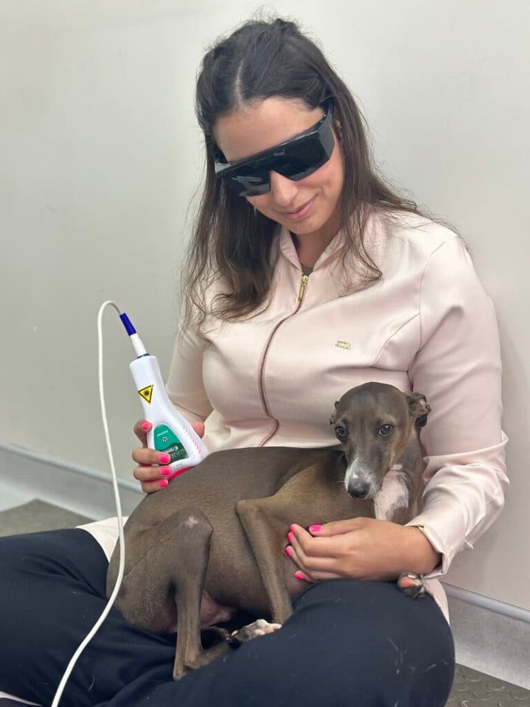 Laserterapia contribui para restabelecimento ágil do pet