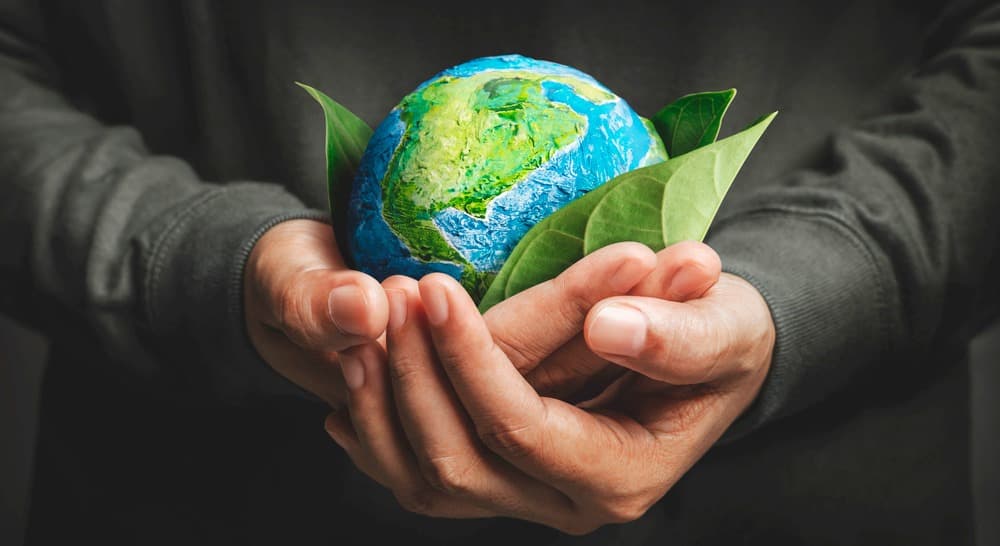 Reflexão sobre o Dia Mundial do Meio Ambiente