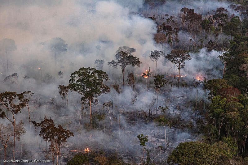 Amazônia em chamas