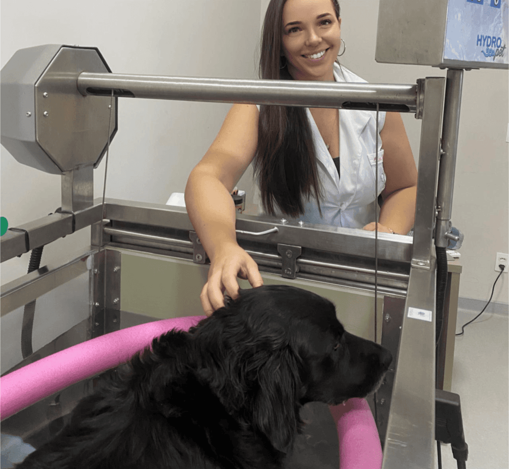 Medicina integrativa veterinária é preventiva, curativa e paliativa