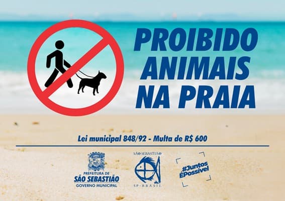 Normas na Praia: Segurança e Bem-Estar