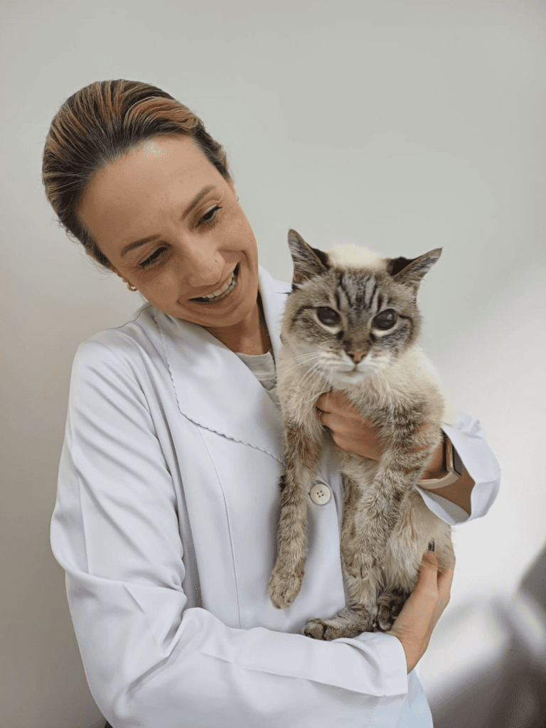 Março Amarelo alerta tutores sobre doenças renais em pets