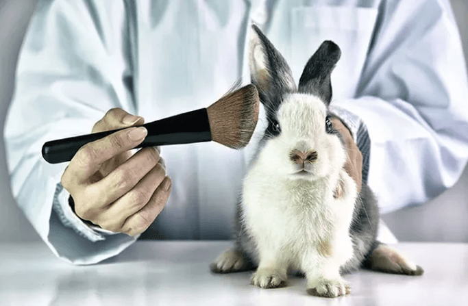 Brasil torna lei a proibição de testes em animais para cosméticos