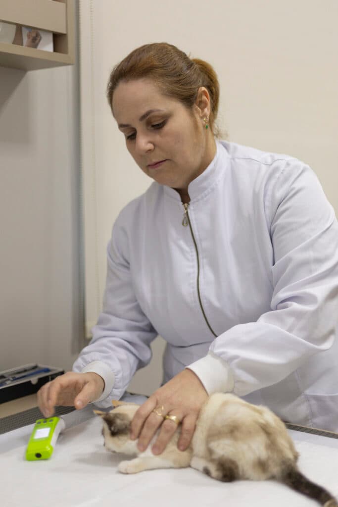 Mudanças sutis podem indicar câncer de próstata em animais
